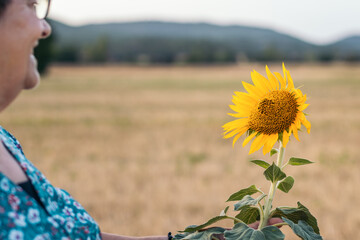 Elderly woman in a field of sunflowers