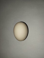 Form Egg