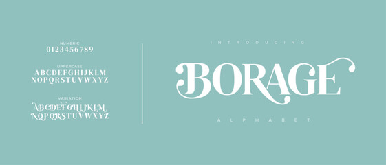 Borage elegant font alphabet uppercase lowercase and number. Classic lettering minimal fashion designs. Typography modern serif fonts regular decorative vintage concept. Vector illustration