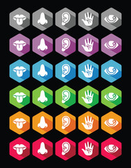 Human five senses icon set, collection of flat hexagon icon design with long shadow