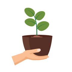 Hand holding  young tree, farmer brings plant seeds, cartoon human hand carrying a plant pot, flat icon vector illustration