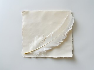 A feather is on a white piece of paper