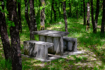 Concrete picnic table in woodland, Charente Maritime, France
