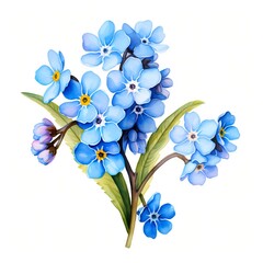Forget me not flowers. Blue forget me not clipart. Watercolor illustration. Generative AI. Detailed illustration.