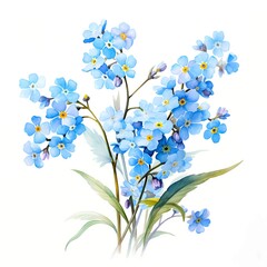 Forget me not flowers. Blue forget me not clipart. Watercolor illustration. Generative AI. Detailed illustration.