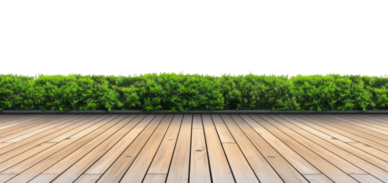 Wooden floor with green bushes isolated on transparent background