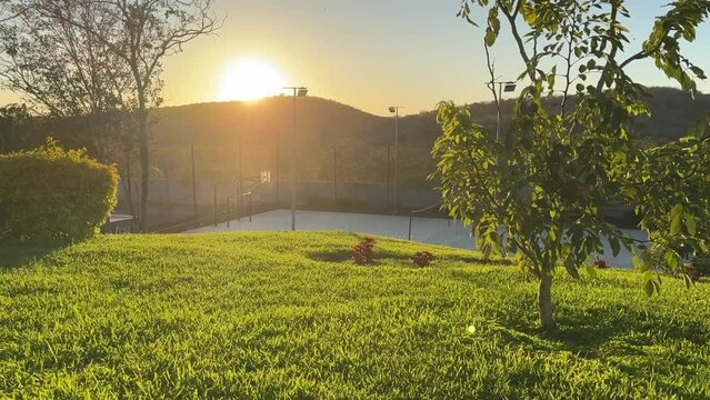 area verde atardecer sol cancha con arboles y palmeras junto con monta&ntilde;as c&eacute;sped horizonte