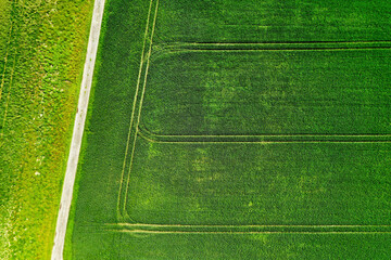 Tractor tracks in grass field, Charente Maritime, France