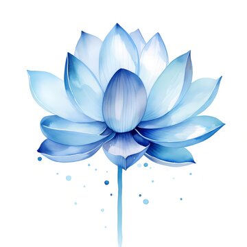 blue lotus flower watercolor style clip art preview