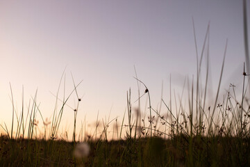 Obraz premium Australian sunrise