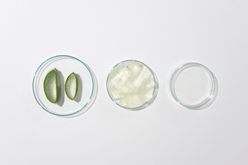 A group of petri dish in different sizes containing aloe vera arranged in a row on white flat form. Photo with view from above and space for design