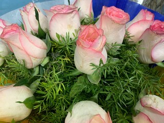 bouquet of flowers in a vase