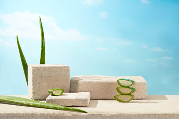 Aloe vera theme photo with a few plaster podium featured on table, decorated by some aloe vera on...