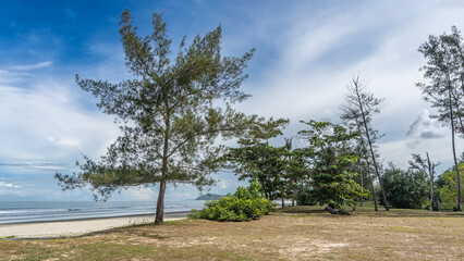 Obraz premium A deserted beach on a tropical island. Turquoise waves roll towards the shore. Coniferous trees and bushes grow on the lawn. Clouds in the blue sky. Malaysia. Borneo. Kota Kinabalu