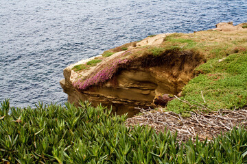 Seaside Rocks at La Jolle Cove