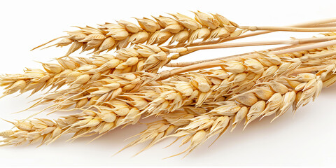 close up of wheat on a white background, generative AI - obrazy, fototapety, plakaty