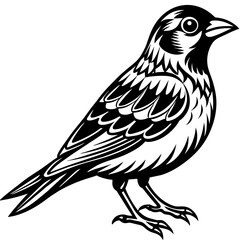 Cute bird vector art illustration.
