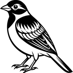 Cute bird vector art illustration.
