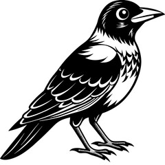 Cute bird vector art illustration.
