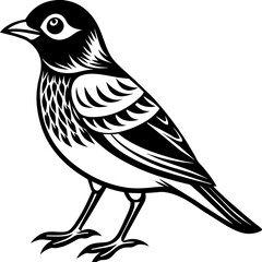 Cute bird vector art illustration.
