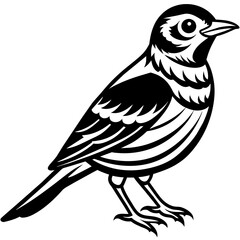 Cute bird vector art illustration.
