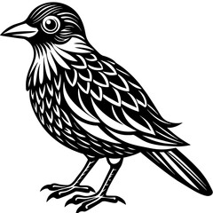 Cute bird vector art illustration.
