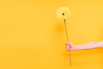 An outstretched hand holding a yellow flower against a yellow background.