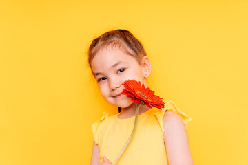 Little girl holding red flower in front of a yellow background.