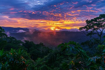 Marvel at the breathtaking colors of a sunset over the rainforest, where the sky is painted in hues of orange, pink, and purple as the day, Generative AI