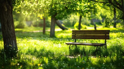 Naklejka premium A wooden bench is positioned in the center of a lush green park