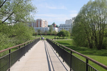 pedestrian bridge and ecological trail in the park