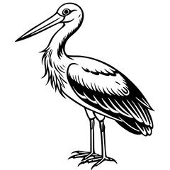 stork on a branch