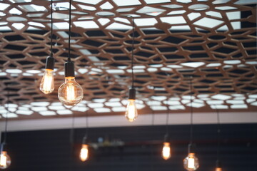 Electric light bulbs on wires. Loft style.