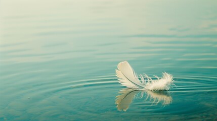 a single feather floating on the surface of water