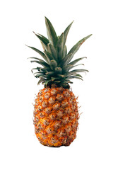 Fototapeta premium A single pineapple isolated
