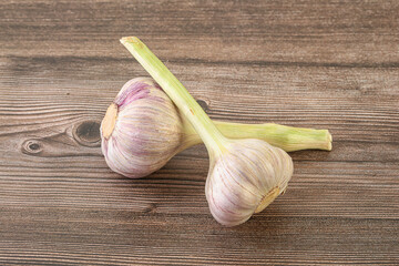 Two Young garlic over background