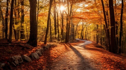 Fototapeta premium Autumn road in the forest with yellow leaves and trees in the background