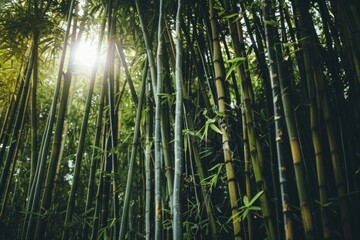 Wander through a bamboo forest in the rainforest, where the tall, slender stalks sway in the breeze and create a sense of serenity and calm, Generative AI