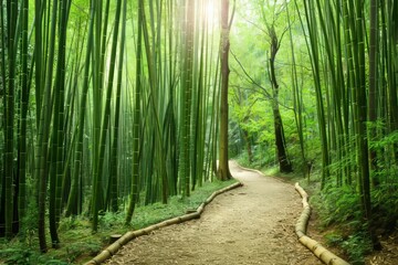 Wander through a bamboo forest in the rainforest, where the tall, slender stalks sway in the breeze and create a sense of serenity and calm, Generative AI