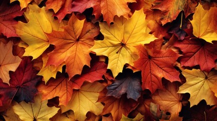 Naklejka na ściany i meble Autumn wallpaper fall foliage wallpaper leaves wallpaper leaf pile wallpaper autumn colors wallp