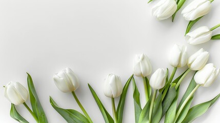 White tulips on a white background Mother's Day concept. Top view photo of stylish pink giftbox with ribbon bow and bouquet of tulips on isolated pastel pink background with copyspace