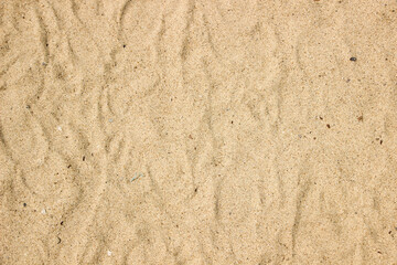 texture of sand