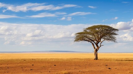 Obraz premium Lone tree in vast african savanna landscape