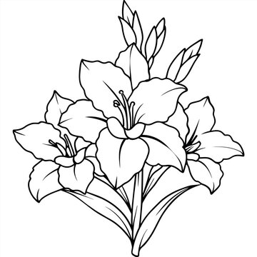 recommend clip art: Gladiolus flower plant outline illustration coloring book page design, Gladiolus flower plant black and white line art drawing coloring book pages for children and adults
