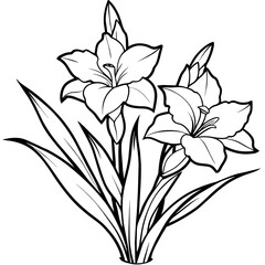 Gladiolus flower plant outline illustration coloring book page design, Gladiolus flower plant black and white line art drawing coloring book pages for children and adults