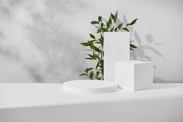 Minimalist Geometric Podiums Display With Green Plant Accent in Monochromatic Setting