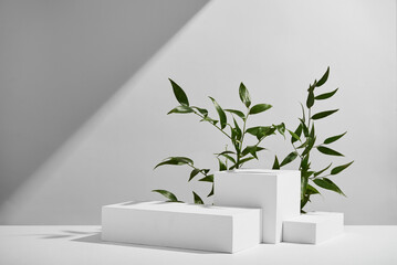 Minimalistic White Catwalks With Geometric Shapes and Greenery for a Modern Product Display