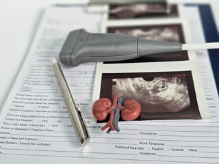 Clipboard With Kidney Picture and Pen