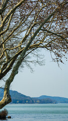 Yuantouzhu, Wuxi City, Jiangsu Province - Taihu Lake scenery under the blue sky
