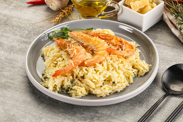 Italian pasta Orzo with prawn